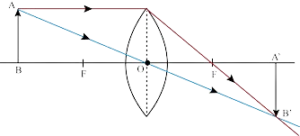 linear magnification
